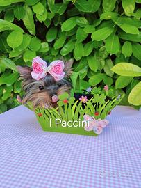 Mini Yorkshire Terrier mini toy
