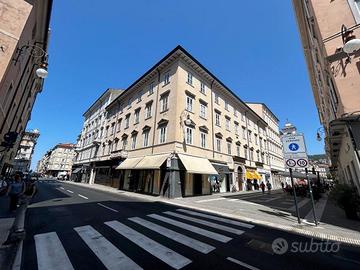 San Lazzaro - stanza in multi studio