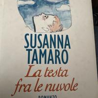 La testa fra le nuvole