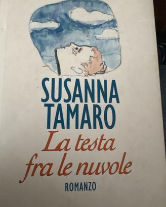 La testa fra le nuvole