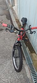 Bici bambino