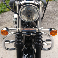 Hd sportster 1200 low