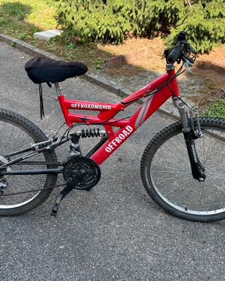 Bici bambino taglia 24
