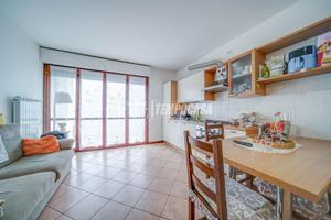 GALLARATE - BILOCALE CON BOX E CANTINA