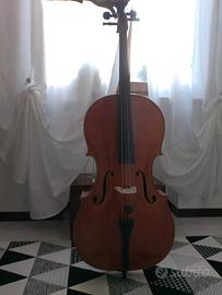 Violoncello