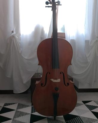 Violoncello