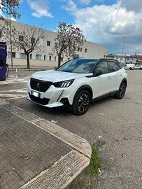 Peugeot 2008 1.5 BlueHDi110cv GT Line N1 Autocarro
