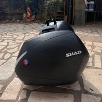 Shad SH36 Carbon + Telai laterali 3P System