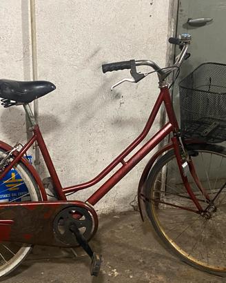 Bicicletta Donna Olanda