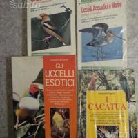 Uccelli - Pappagalli,Esotici,Cacatua,Marini,ecc ec