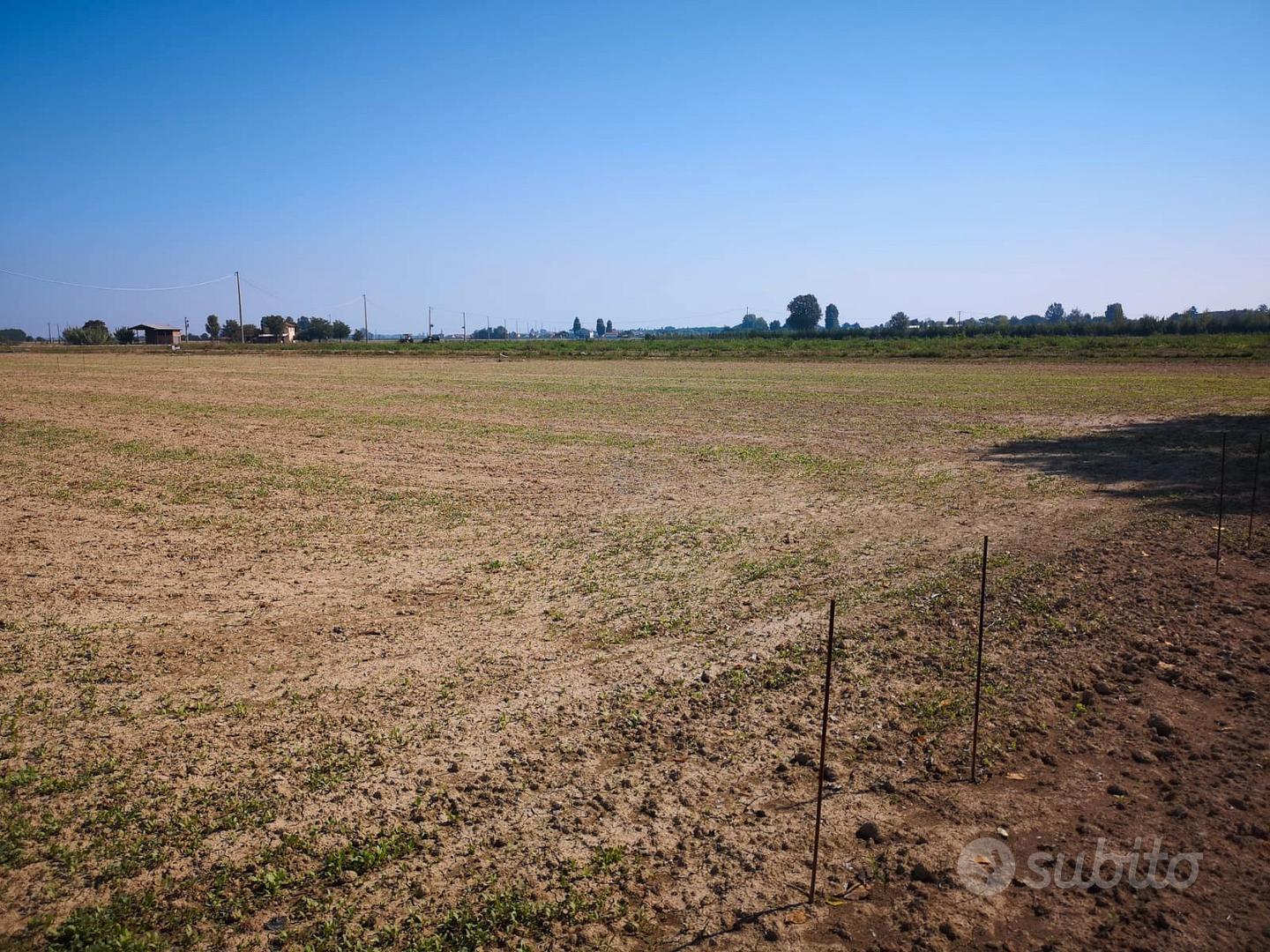 Terreno a mandriole - Vista 5