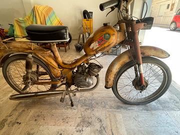Motorino MOTORI - MINARELLI ( MILANI )
