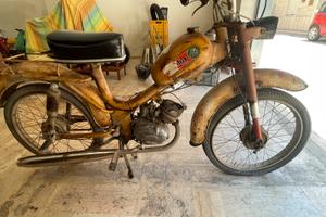 Motorino MOTORI - MINARELLI ( MILANI )
