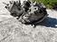 Immagine 4