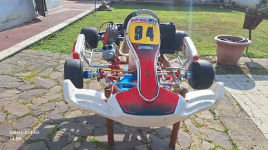 Gokart Birel Art 100 a liquido 