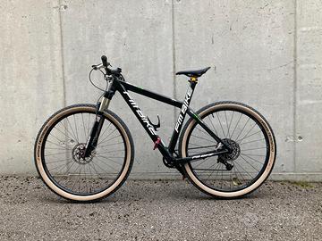 MTB Carbonio 29” della FM BIKE