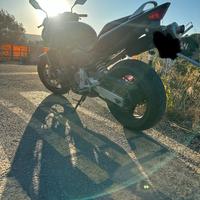 Honda hornet
