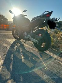 Honda hornet