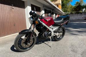Aprilia AF1 50 Europa - 1992