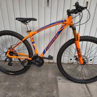 Torpado 29