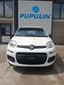 fiat-panda-1-2-pandazzurri