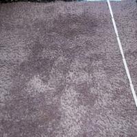 Tappeto da casa Shaggy