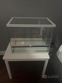 Teca per jeko