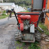 trasportatore camisa 280