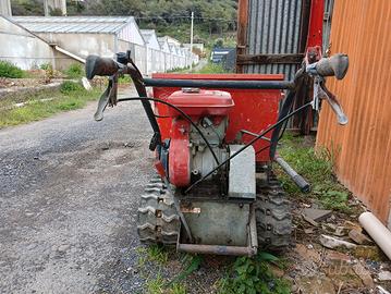 trasportatore camisa 280