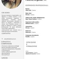 Commessa/Segretaria/Baby sitt/Pet sitter