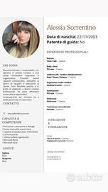 Commessa/Segretaria/Baby sitt/Pet sitter