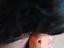 Immagine 5
