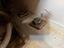 Immagine 25