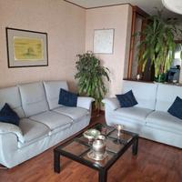 Divani - microfibra - da 2 e 3 posti_ Buono stato