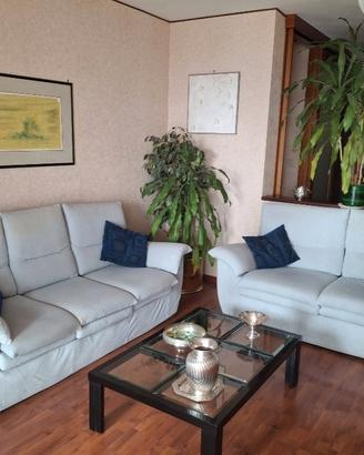 Divani - microfibra - da 2 e 3 posti_ Buono stato