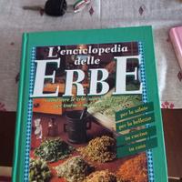 l' enciclopedia  delle erbi