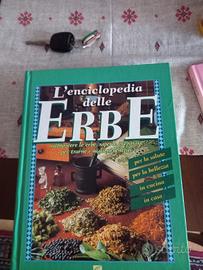 l' enciclopedia  delle erbi