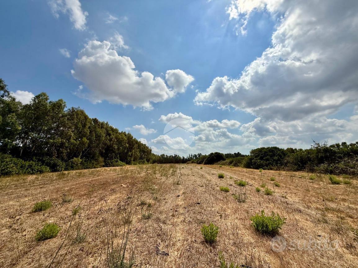 TER. AGRICOLO A ALGHERO - Vista 5