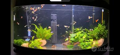 ACQUARIO VISION NERO 110 litri + MOBILE
