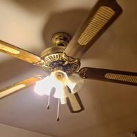 lampadario e ventilatore 