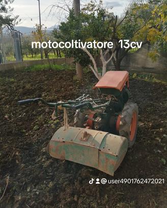 Moto zappa Goldoni 