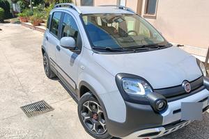 Panda Cross hybrid