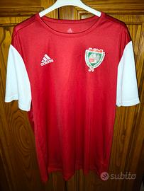 t-shirt allenamento Adidas 