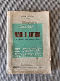 “Nozioni di Anatomia e di fisiologia della bocca “