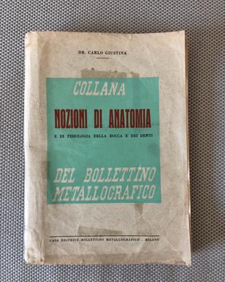 “Nozioni di Anatomia e di fisiologia della bocca “