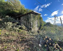 Valtellina Zona soliva vicino Lago Como