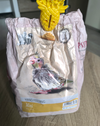 Papetta pappagallo