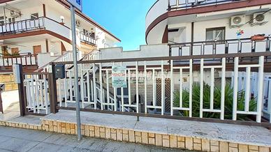 Trivani con cortile LIBERO SUBITO!!!