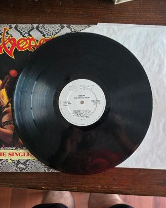 Disco The Venom 80 - 86