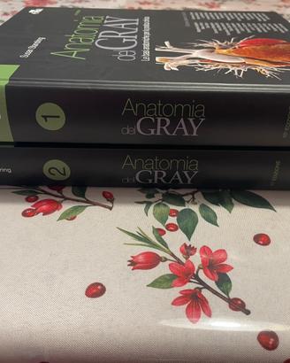 Libri
